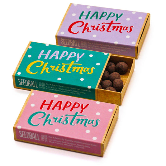 Large Happy Christmas Seed Boxes