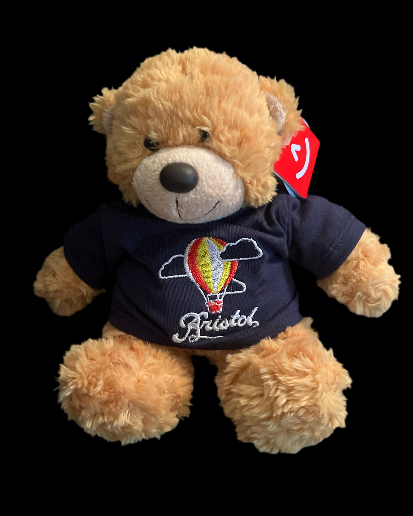 BRISTOL KEEPSAKE BONNIE BEAR WITH HOT AIR BALLOON NAVY T-SHIRT