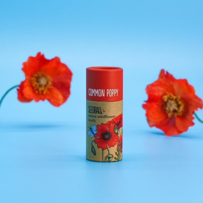 Poppy seedball tube