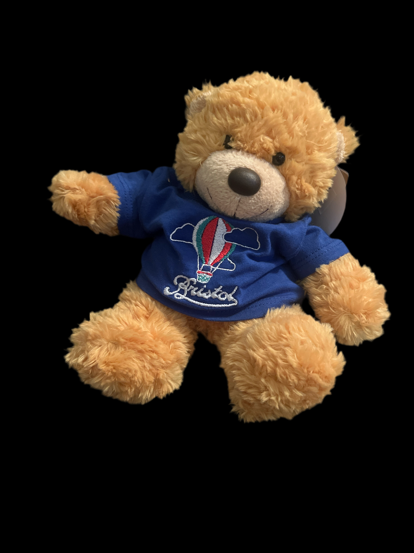 BRISTOL KEEPSAKE BONNIE BEAR WITH HOT AIR BALLOON BLUE T-SHIRT